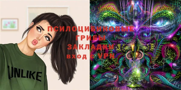 кокс Арсеньев
