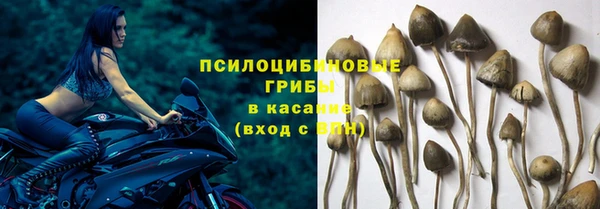 кокс Арсеньев